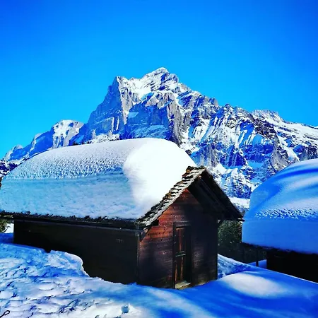 Idyllic Farm With Scenic Views And Concierge By Swisshut