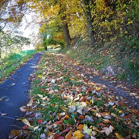 Idyllic Farm Cabin With Scenic Views And Concierge By Swisshut *