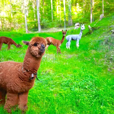 Casa vacanze Idyllic Farm Cabin With Scenic Views And Concierge By Swisshut Sigriswil