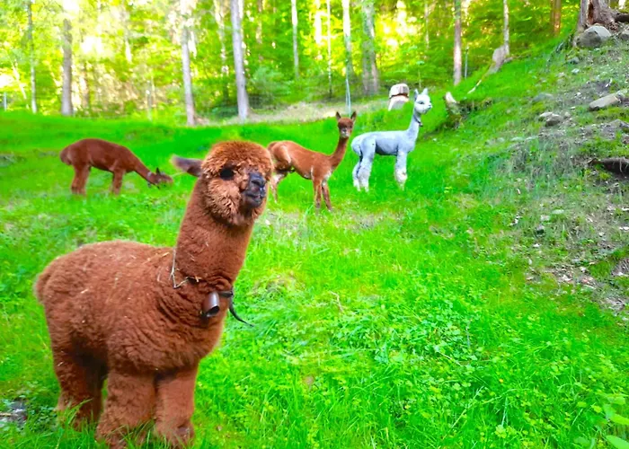 Casa vacanze Idyllic Farm With Scenic Views And Concierge By Swisshut Sigriswil