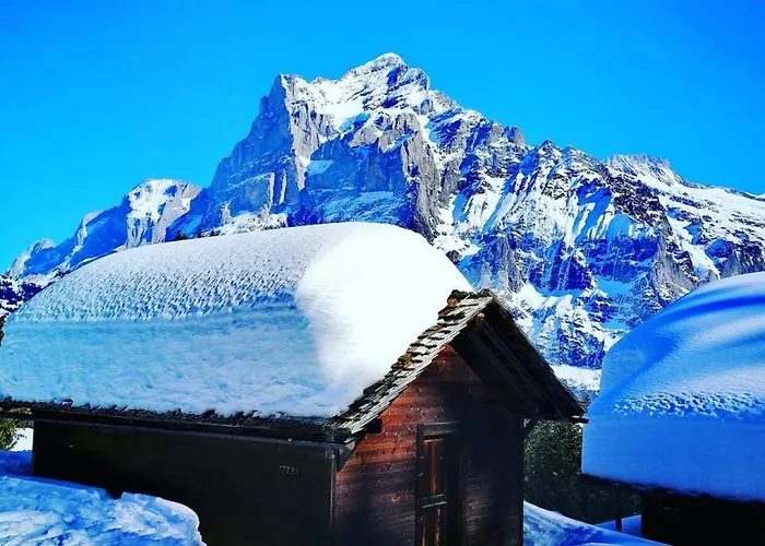 Idyllic Farm With Scenic Views And Concierge By Swisshut
